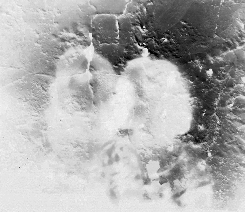 Autorretrato, de Belen Frutos